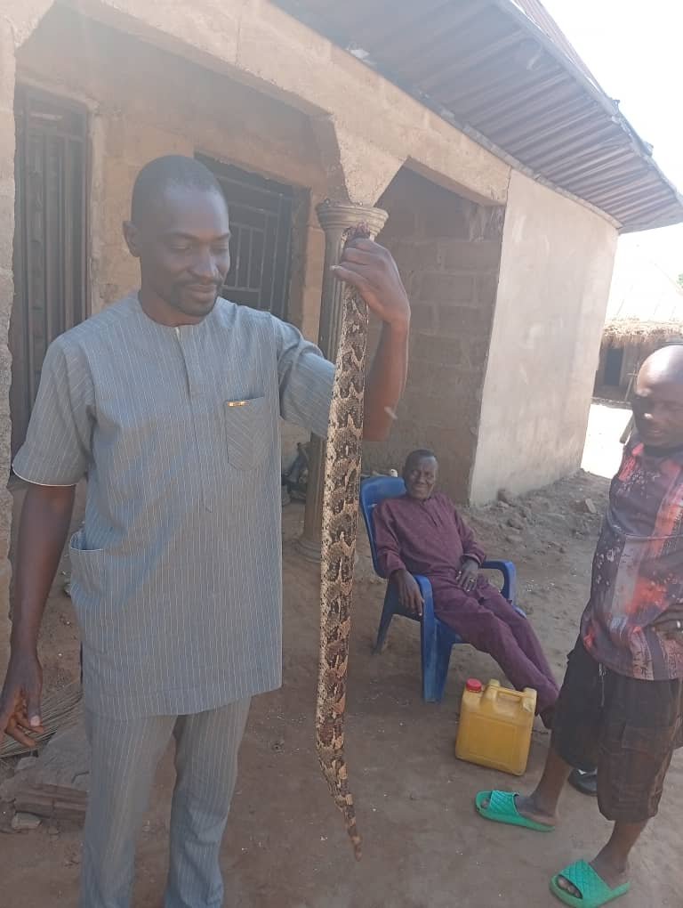 Moses with Puff Adder